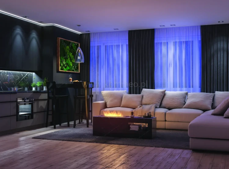 Biokominek do zabudowy INFIRE INBOX 600