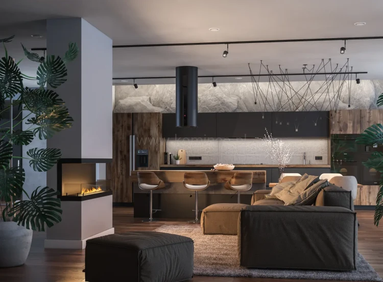 INFIRE INSIDE C1200 Vers3 Biokominek do zabudowy trójstronny