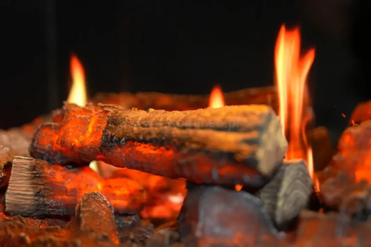 DIMPLEX BELGRAVIA - polana i płomień