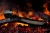 Kaseta DIMPLEX Multi Colour Optimyst z polanami