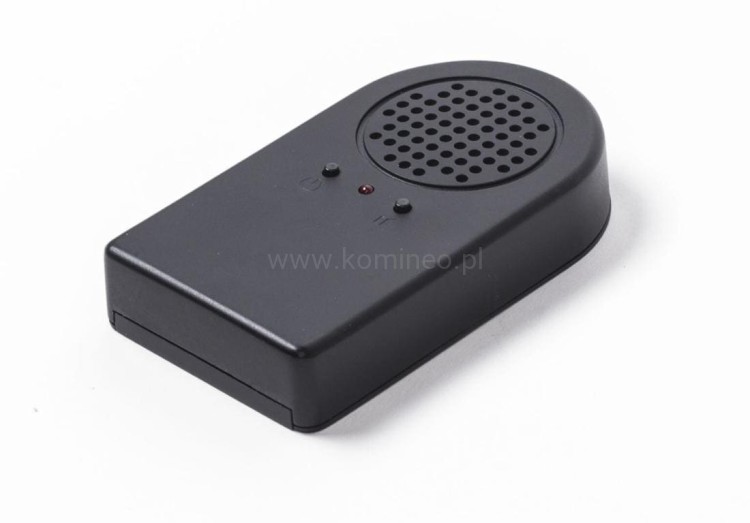 Głośnik z dźwiękiem kominka